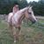 Kat Cruz's profile image