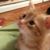 Judi Riede Zboyovski's profile image