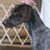 Pam Richardson's profile image
