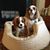Kathy Dillon's profile image
