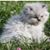 Kerry Leitner's profile image