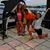 Susan Crotzer's profile image