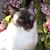 Colleen O'Connor's profile image