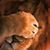 Ross M. Potter's profile image