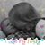 Tylar Marie Bauer's profile image