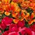 Susan Pyburn's profile image