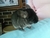 Ashley B.'s profile image