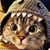 Steven Makepeace's profile image