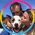 Brooke Lehmann's profile image