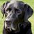 Art Smith's profile image