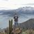 Leandro Molina's profile image