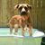 Esme Nasser's profile image