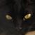 Debra Helena's profile image
