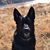 Scott Ezra's profile image