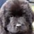 Margaret Williams's profile image