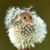 Jeanne McKee's profile image