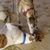Mark Bley's profile image