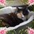 Becky Danberg's profile image