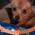 Curt Pullum's profile image