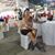 Josephine Castelino's profile image