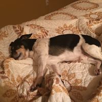 Linda Luecke's profile image