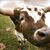 Valerie Leach's profile image