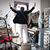 Kelley Stoltz's profile image