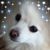 Peggy Langheim Miller's profile image