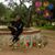 Joey R Moreno Sr.'s profile image