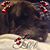 Jocelyn Bish's profile image