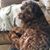 Christy Brown's profile image