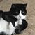 Barb Brooker's profile image