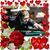 Leigha Crowl Gulyash's profile image
