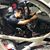 Anthony Guida's profile image