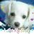 Cindy Obregon's profile image