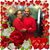 Jane Johnson-Lee's profile image