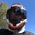 Adam Houtman's profile image