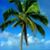 Julie Rosenthal's profile image
