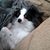 Patti Kasal's profile image