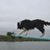 Brian Gillett's profile image