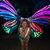 Aleya Signor's profile image