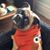 Christine Almeida's profile image