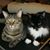 Pamela Weir Magers's profile image
