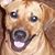 Ruby Brewer's profile image