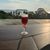 Diana L. Meehan's profile image