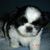 Stacy Gassaway's profile image