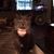 Cat Stout's profile image