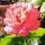 Maria Salazar-Moreno's profile image