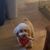 Paula Vetturini's profile image