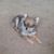 Kathy Wrich's profile image